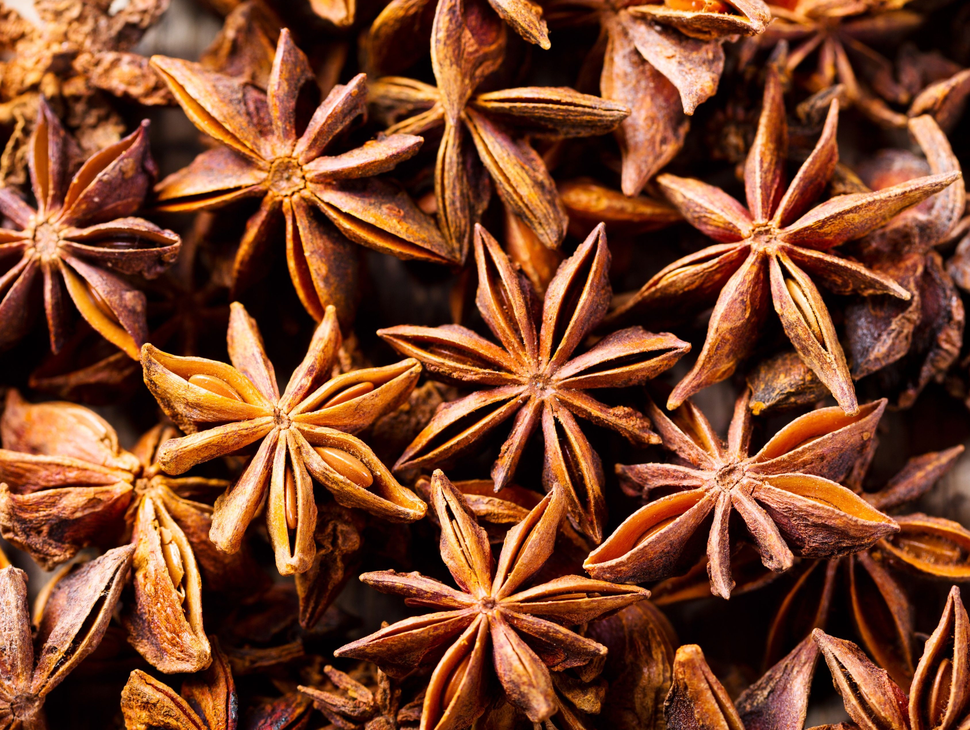 Star Anise